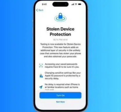 枫木镇苹果授权维修店分享被盗设备保护功能开启方法 