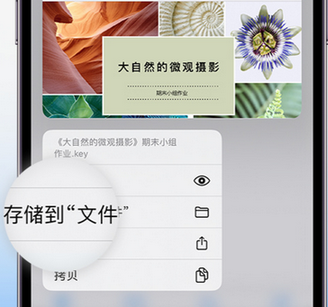 枫木镇apple维修中心分享iPhone文件应用中存储和找到下载文件