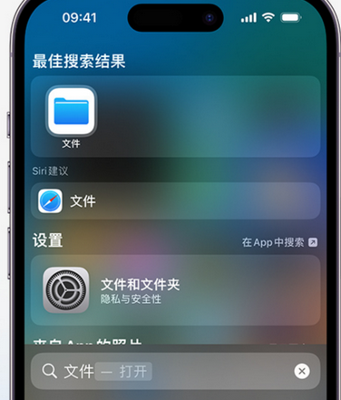 枫木镇apple维修中心分享iPhone文件应用中存储和找到下载文件 