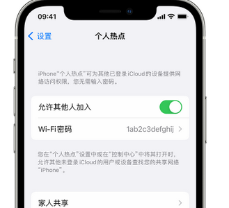 枫木镇apple服务站点分享iPhone上个人热点丢失了怎么办