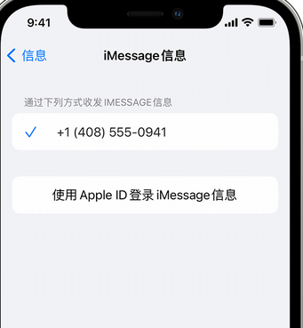 枫木镇apple维修iPhone上无法正常发送iMessage信息 