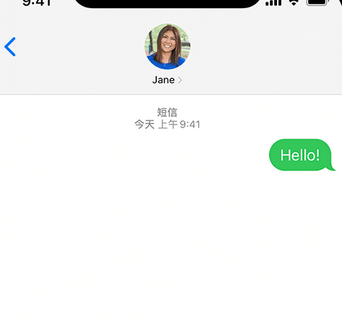 枫木镇apple维修iPhone上无法正常发送iMessage信息