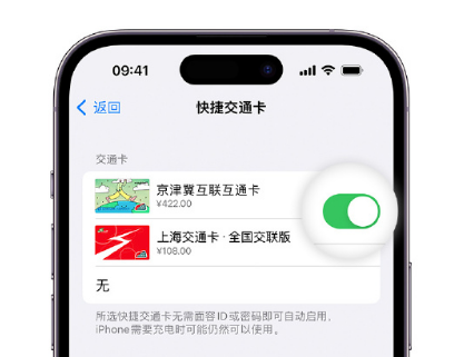 枫木镇apple维修点分享iPhone上更换Apple Pay快捷交通卡手绘卡面 