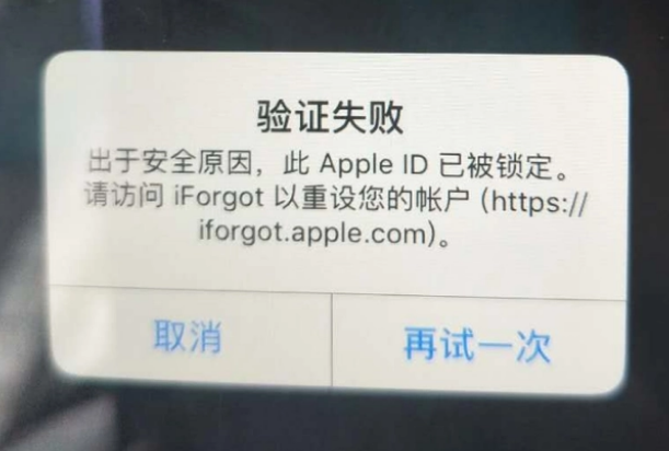 枫木镇iPhone维修分享iPhone上正常登录或使用AppleID怎么办 