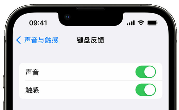 枫木镇苹果手机维修分享iPhone 14触感键盘使用方法 