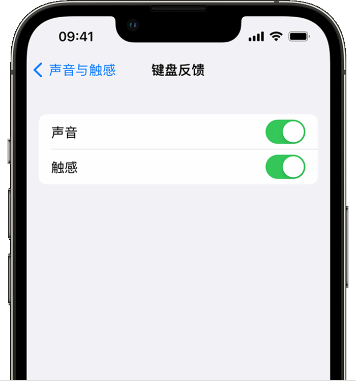 枫木镇苹果14维修店分享如何在 iPhone 14 机型中使用触感键盘 