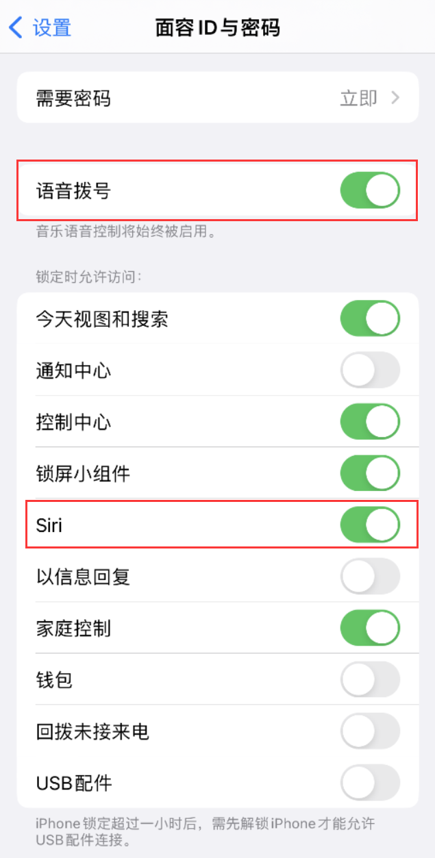 枫木镇苹果维修网点分享不解锁 iPhone 的情况下通过 Siri 拨打电话的方法 