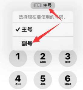 枫木镇苹果14维修店分享iPhone 14 Pro Max使用副卡打电话的方法 