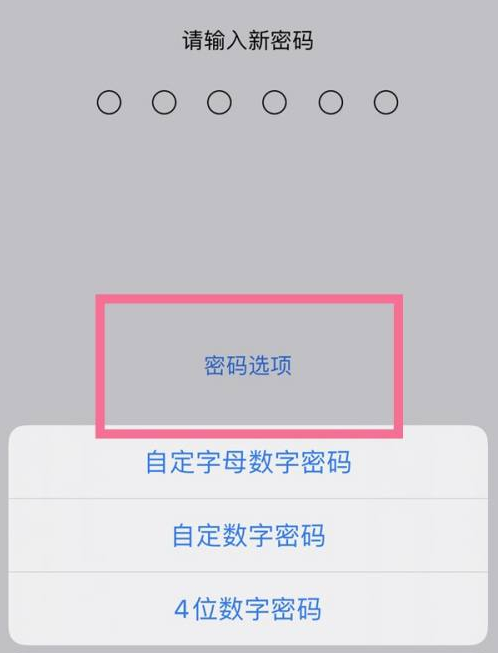 枫木镇苹果14维修分享iPhone 14plus设置密码的方法 