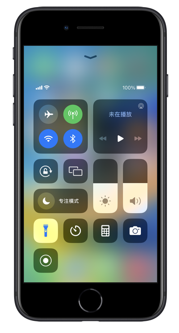 枫木镇苹果14维修分享苹果iPhone 14 Pro手电筒开启方法 