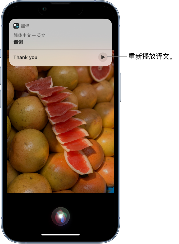 枫木镇苹果14维修分享 iPhone 14 机型中使用 Siri：了解 Siri 能帮你做什么 