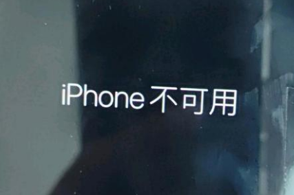 枫木镇苹果服务网点分享锁屏界面显示“iPhone 不可用”如何解决 