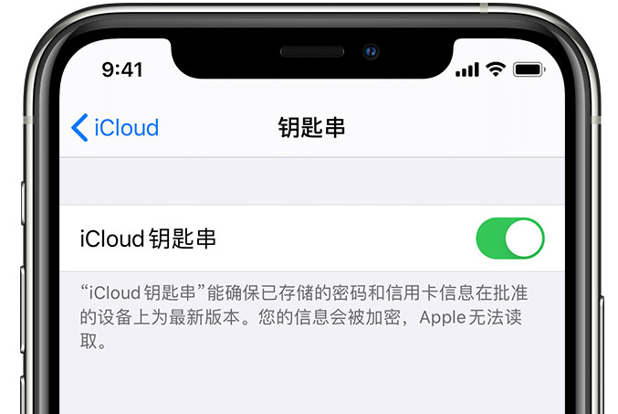 枫木镇苹果手机维修分享在 iPhone 上开启 iCloud 钥匙串之后会储存哪些信息 