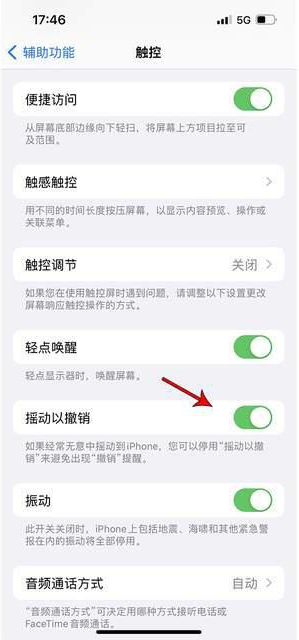 枫木镇苹果手机维修分享iPhone手机如何设置摇一摇删除文字 